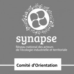 Comité d\'orientation du Réseau SYNAPSE (CO)
