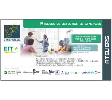 Ateliers de détection de synergies (Démarche EIT Guadeloupe) 