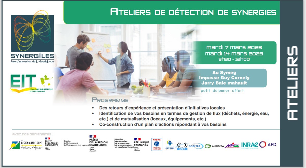 Ateliers de détection de synergies (Démarche EIT Guadeloupe) 