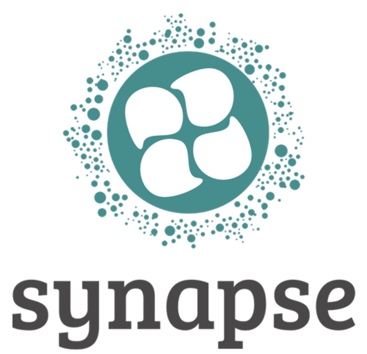 A qui s’adresse le réseau SYNAPSE ?